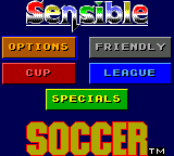 Заставка игры Sensible Soccer: European Champions